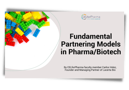 e-Booklet Fundamental Partnering Models