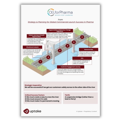 The bridge from global brand strategy to local execution in six steps: situational analysis, patient journey, segmentation, customer engagement journey, KPIs and resource plan