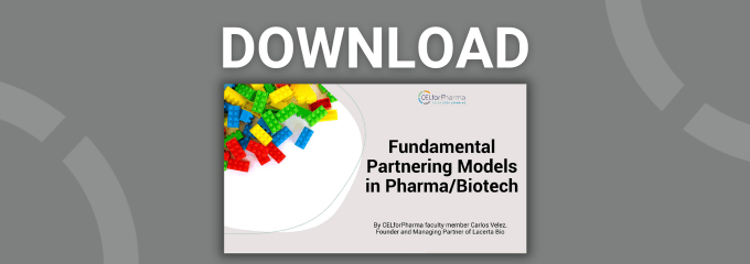 e-Booklet Fundamental Partnering Models
