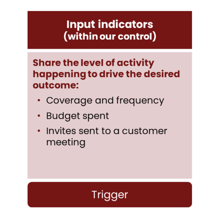 KPIs for a country pharma launch: input indicators