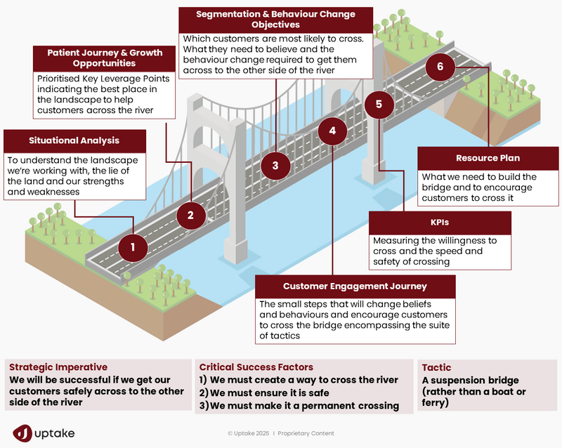 Bridging the Gap: A Visual Roadmap for a Successful Global Pharma Launch